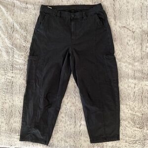 American Eagle Outfitters Dark Cargo Pants